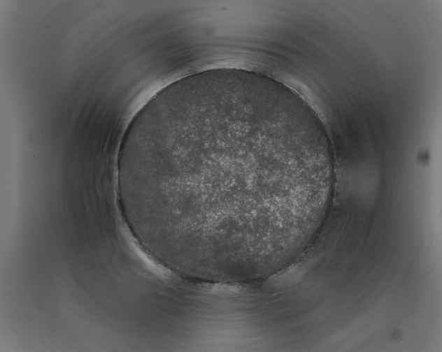 X0000090620890200707311241