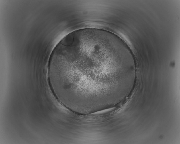 X0000090620891200707311241