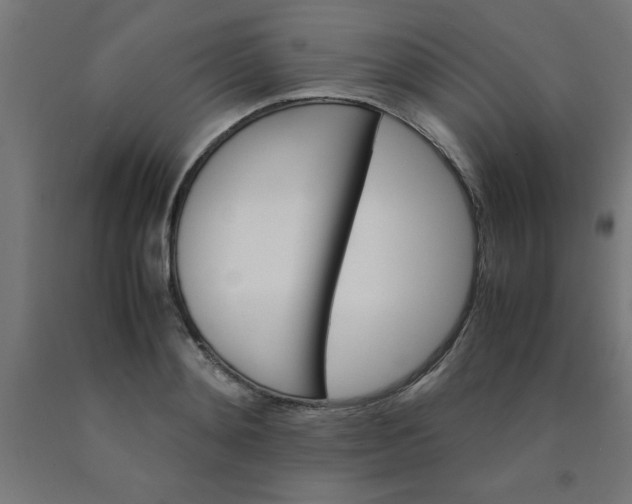 X0000090620892200707311241