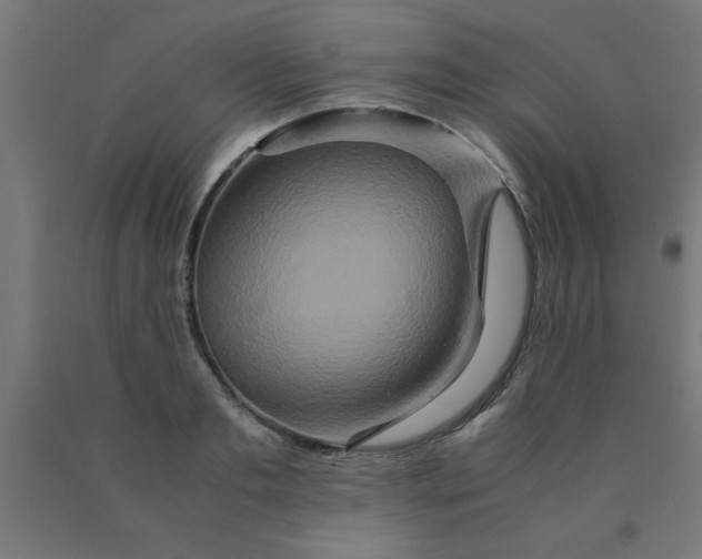X0000090620893200707311241