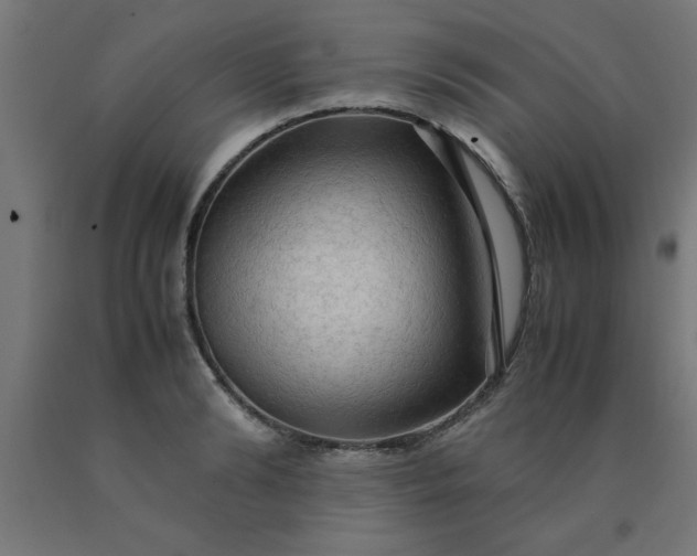 X0000090620894200707311241