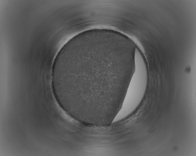 X0000090620895200707311241