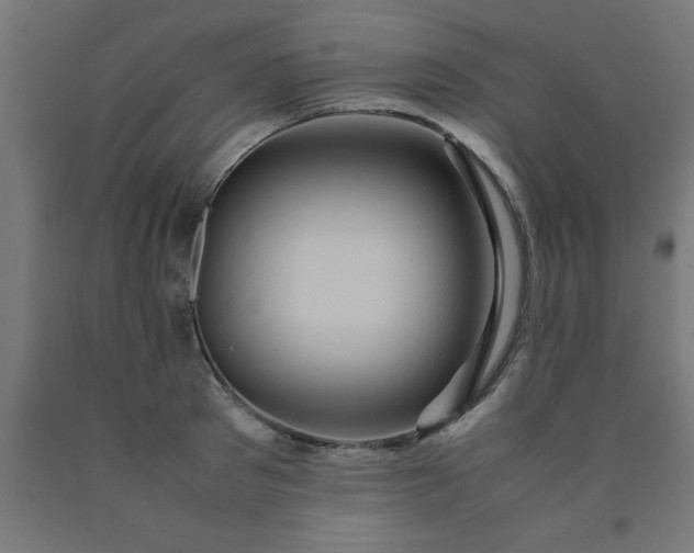 X0000090620897200707311241