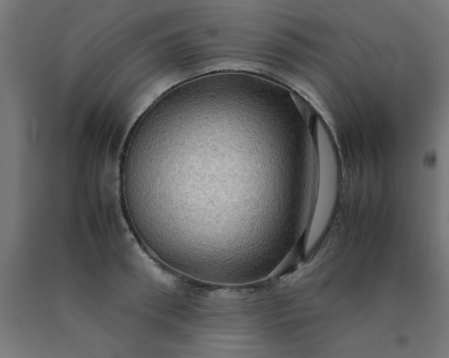 X0000090620898200707311241