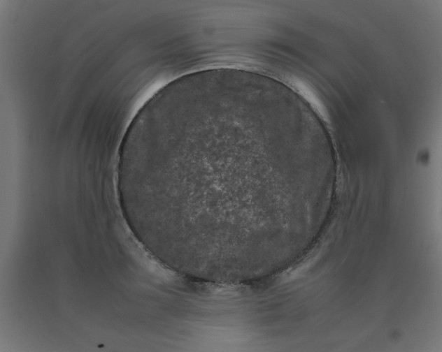 X0000090620899200707311241