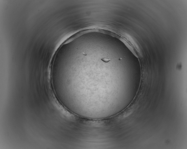 X0000090620900200707311241