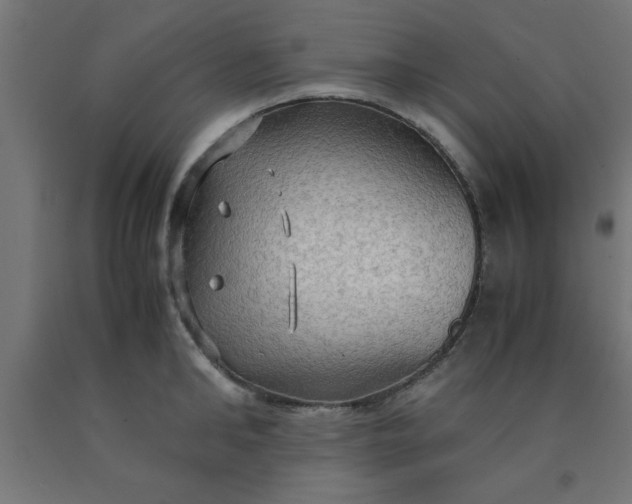 X0000090620902200707311241
