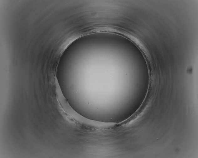 X0000090620905200707311241