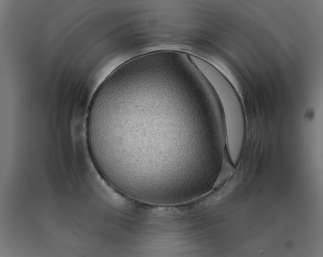 X0000090620906200707311241