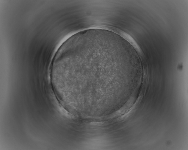 X0000090620908200707311241