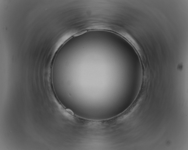 X0000090620909200707311241