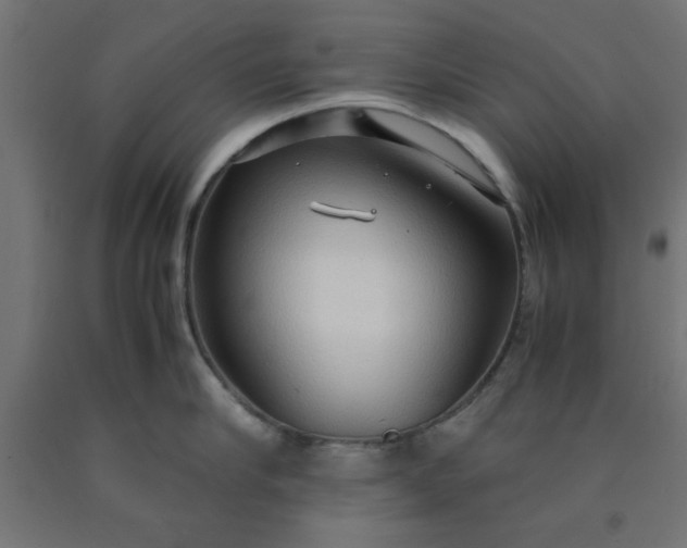 X0000090620910200707311241