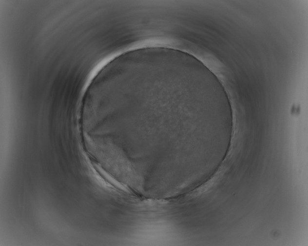 X0000090620912200707311241