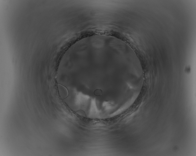 X0000090620913200707311241