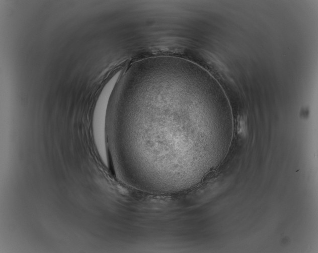 X0000090620915200707311241