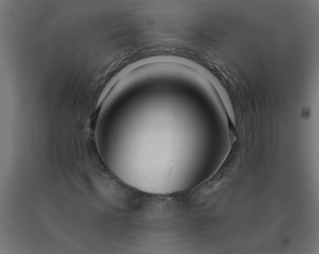X0000090620916200707311241