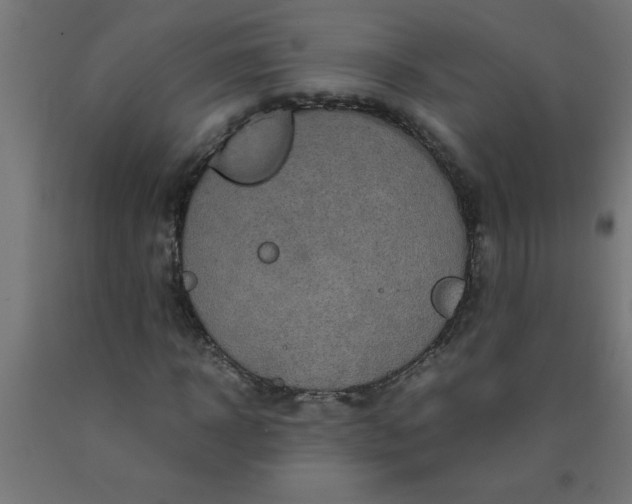 X0000090620918200707311241