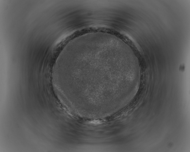 X0000090620919200707311241