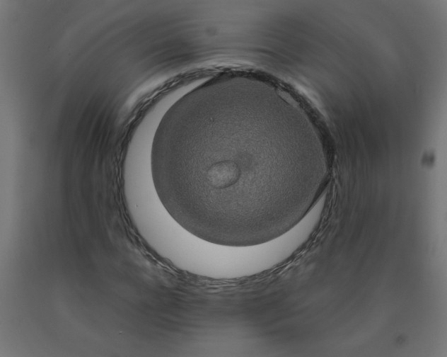 X0000090620920200707311241