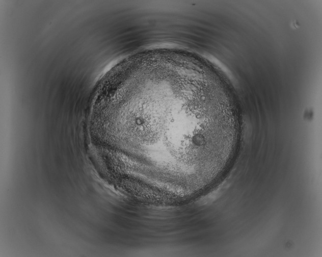 X0000090620921200707311241