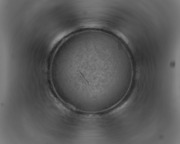 X0000090620922200707311241