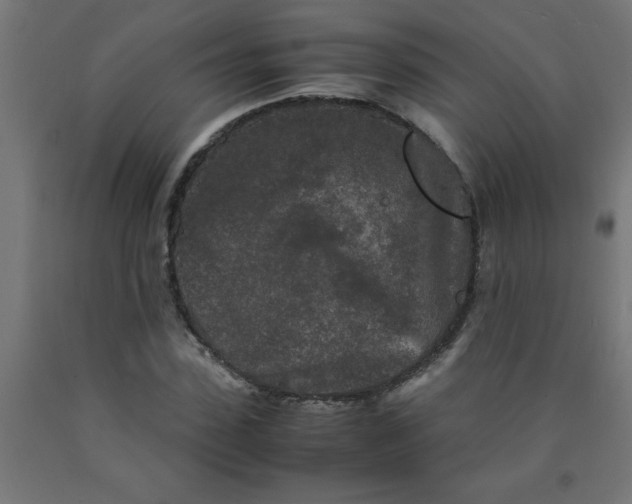 X0000090620923200707311241