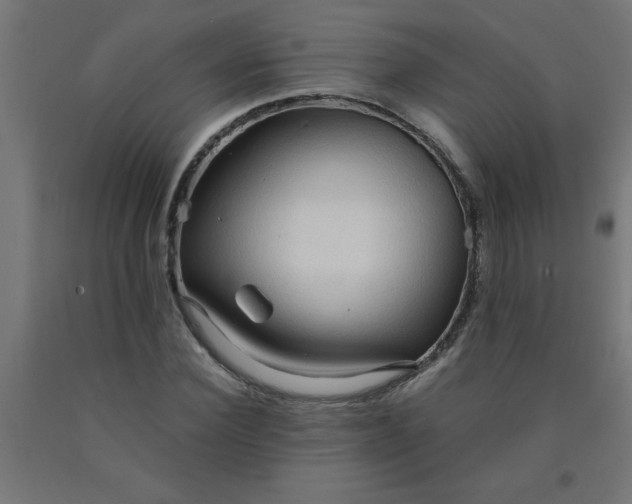 X0000090620924200707311241
