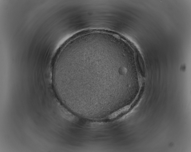 X0000090620925200707311241