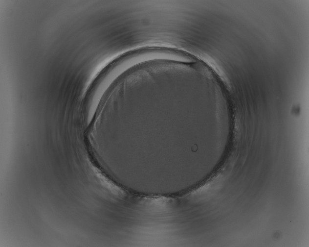 X0000090620926200707311241
