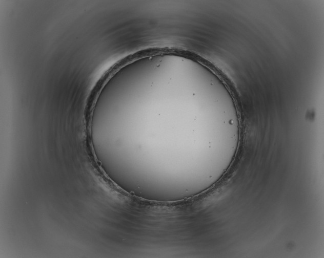 X0000090620927200707311241