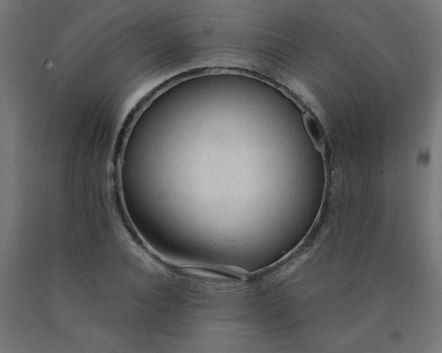 X0000090620928200707311241