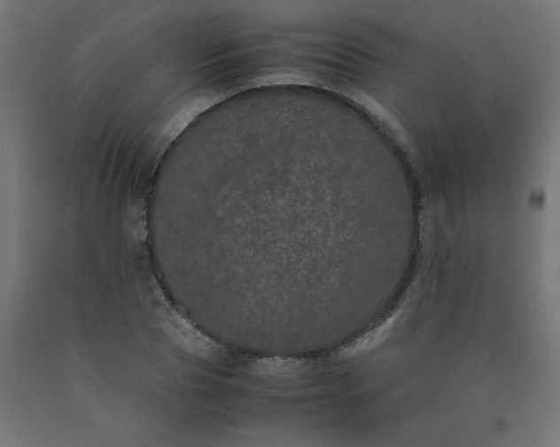 X0000090620929200707311241