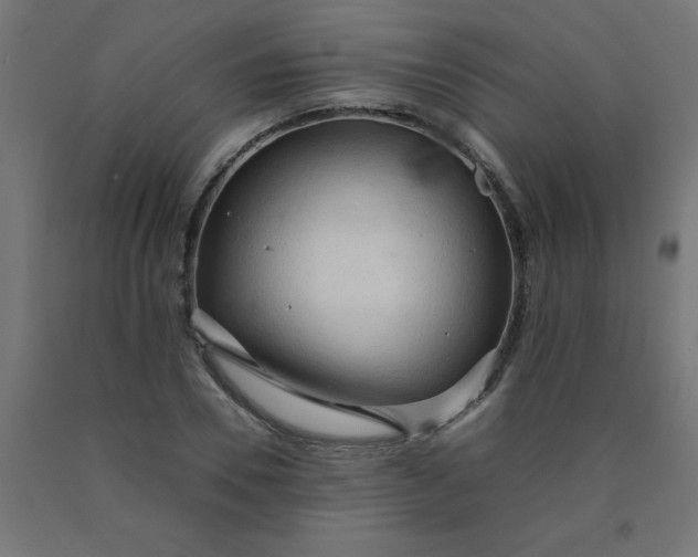 X0000090620930200707311241