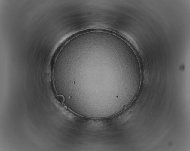 X0000090620931200707311241