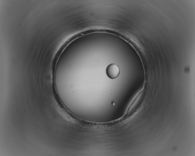 X0000090620934200707311241