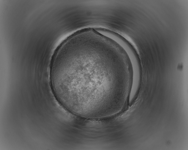 X0000090620935200707311241