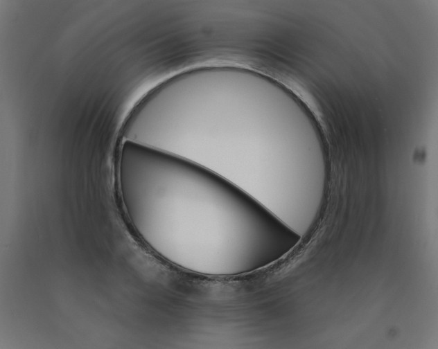 X0000090620936200707311241