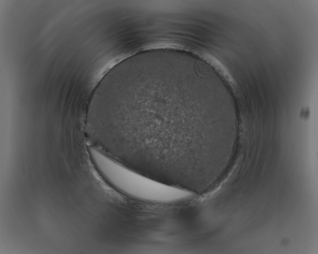 X0000090620937200707311241