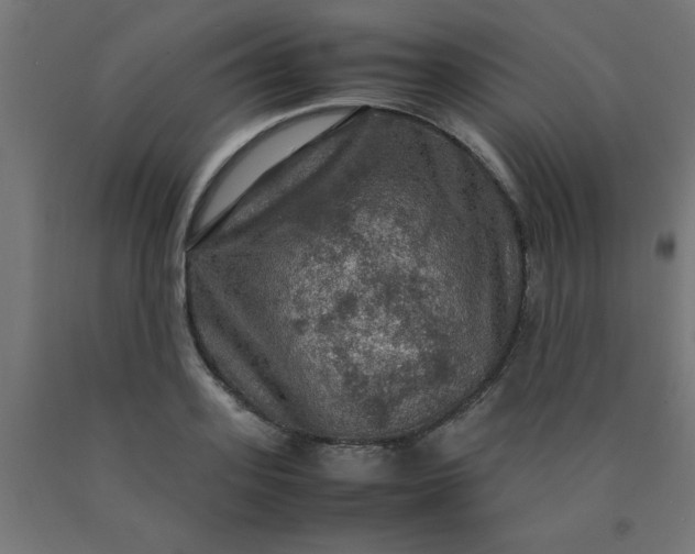X0000090620939200707311241