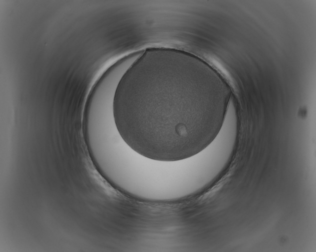 X0000090620940200707311241