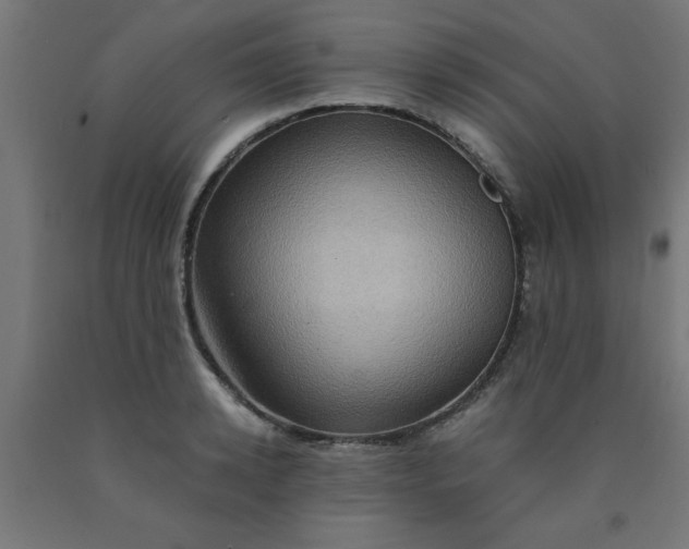 X0000090620942200707311241