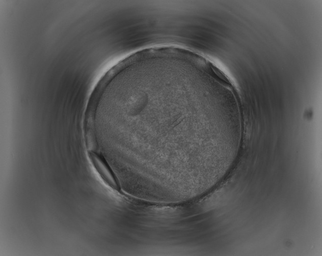 X0000090620943200707311241