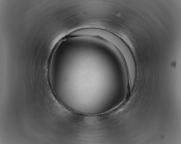 X0000090620944200707311241