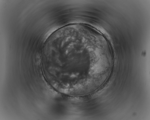 X0000090620945200707311241
