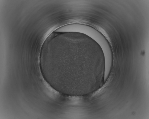X0000090620946200707311241