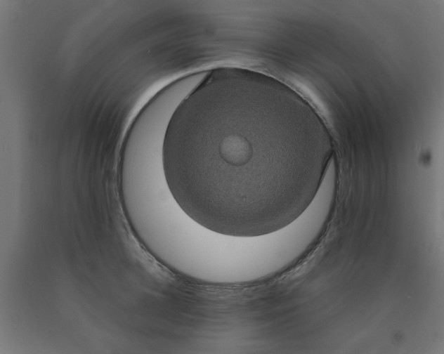X0000090620948200707311241