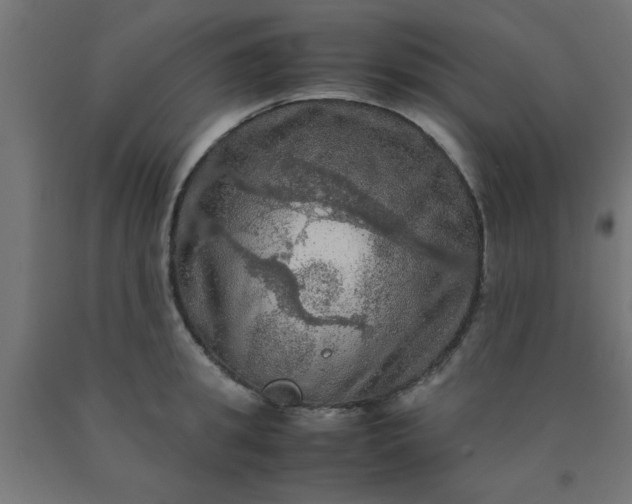 X0000090620949200707311241