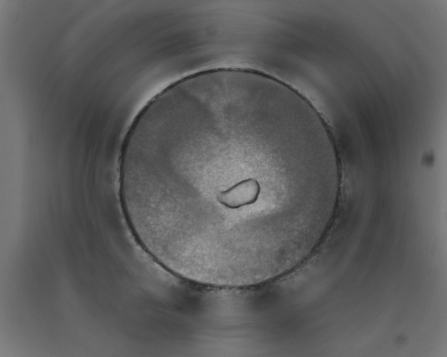 X0000090620950200707311241