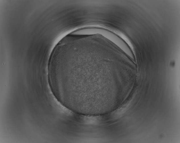 X0000090620951200707311241