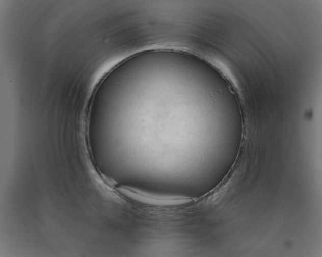 X0000090620952200707311241